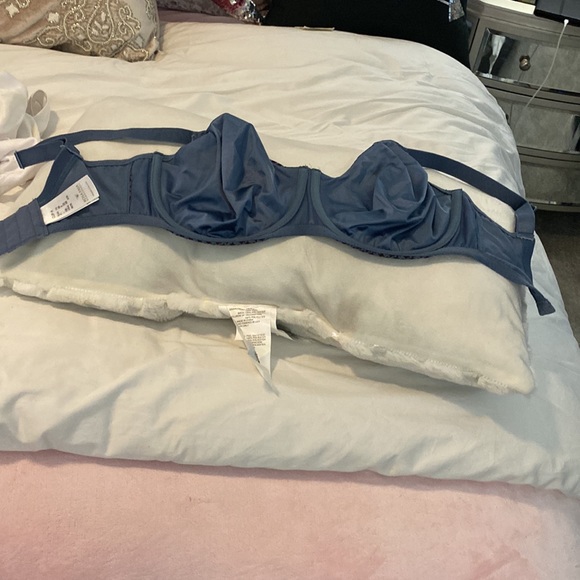 Rosa faia beautiful cup h - Picture 4 of 11